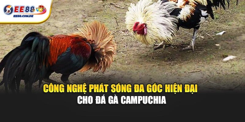 Công nghệ phát sóng đa góc hiện đại cho đá gà Campuchia