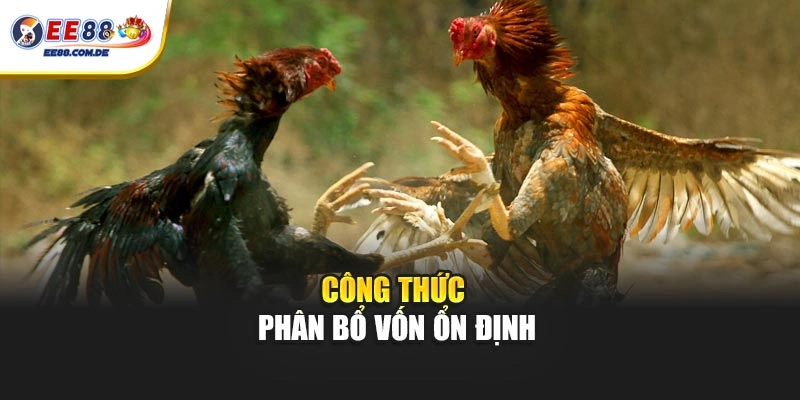 Công thức phân bổ vốn ổn định