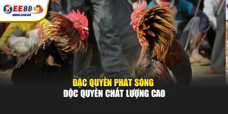Đặc quyền phát sóng độc quyền chất lượng cao