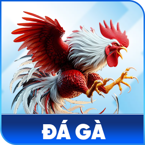 đá gà EE88