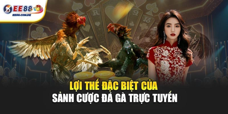Điểm đặc biệt của sảnh cược đá gà trực tuyến