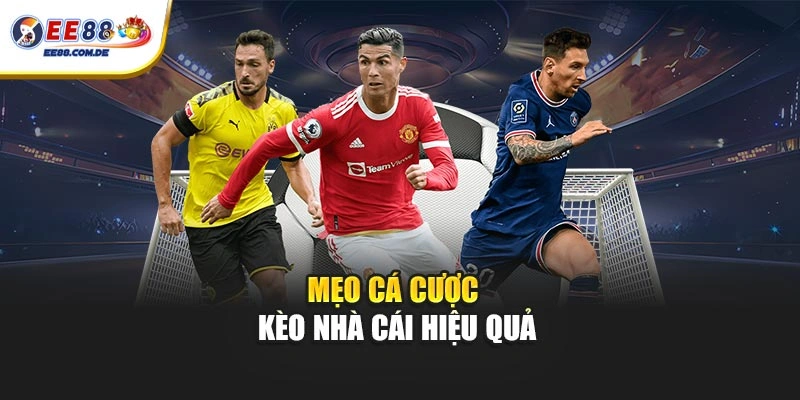 Mẹo cá cược kèo nhà cái hiệu quả