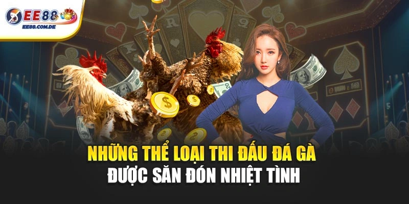 Những thể loại thi đấu đá gà được săn đón nhiệt tình